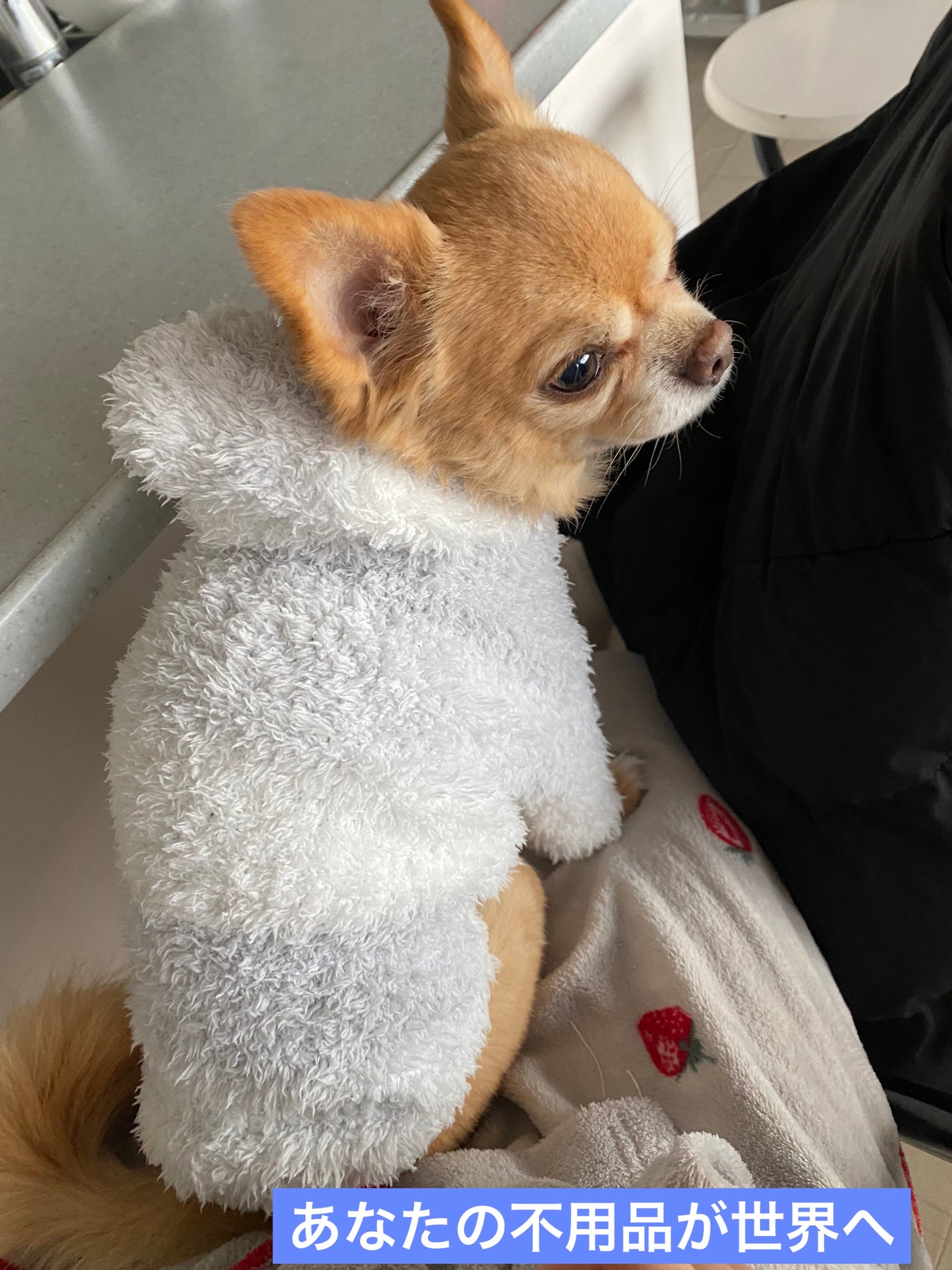 リップ スティック V/ANNA SUI/口紅を使ったクチコミ(6枚目)