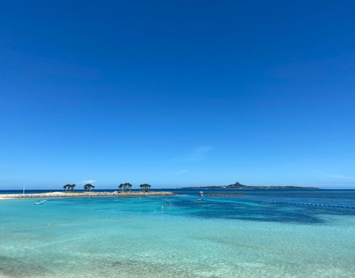 沖縄ルルルン(アセロラの香り)/ルルルン/シートマスク・パックを使ったクチコミ(2枚目)