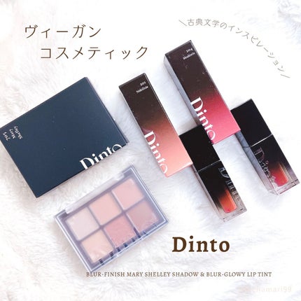 ブラーフィニシュシャドウパレット/Dinto/アイシャドウパレットを使ったクチコミ(1枚目)