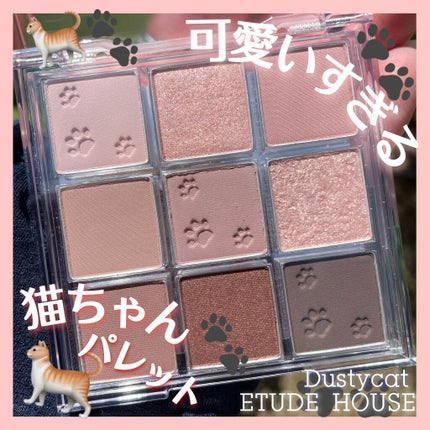 プレイカラーアイズ ダスティキャット/ETUDE/アイシャドウパレットを使ったクチコミ(4枚目)