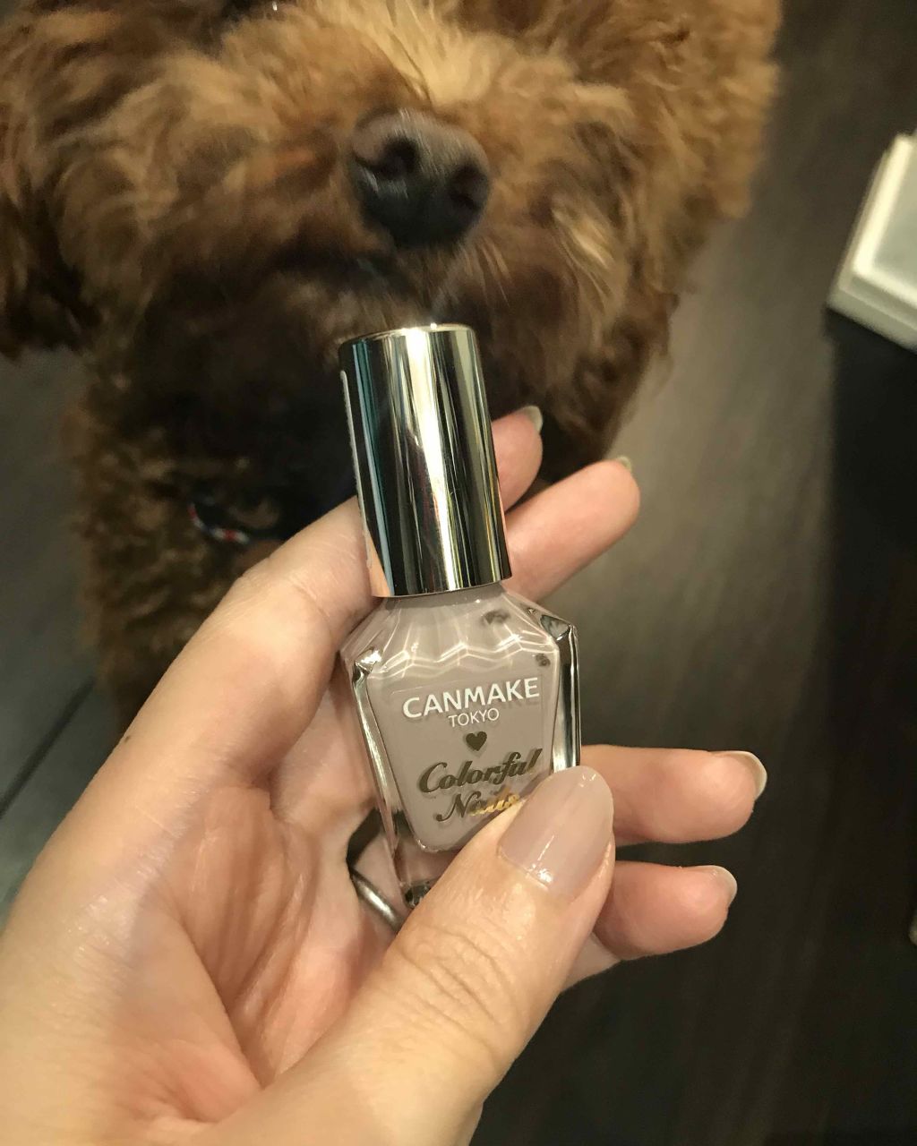 カラフルネイルズ/キャンメイク/マニキュアを使ったクチコミ（1枚目）