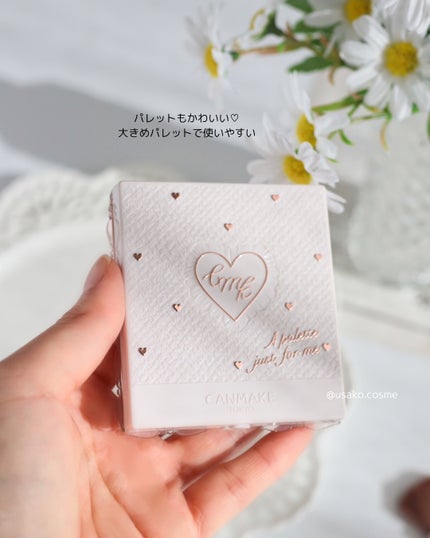 マイトーンクチュール/キャンメイク/メイクアップキットを使ったクチコミ(5枚目)