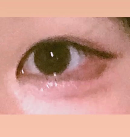 ReVIA 1day/ReVIA/ワンデー(1DAY)カラコンを使ったクチコミ(2枚目)