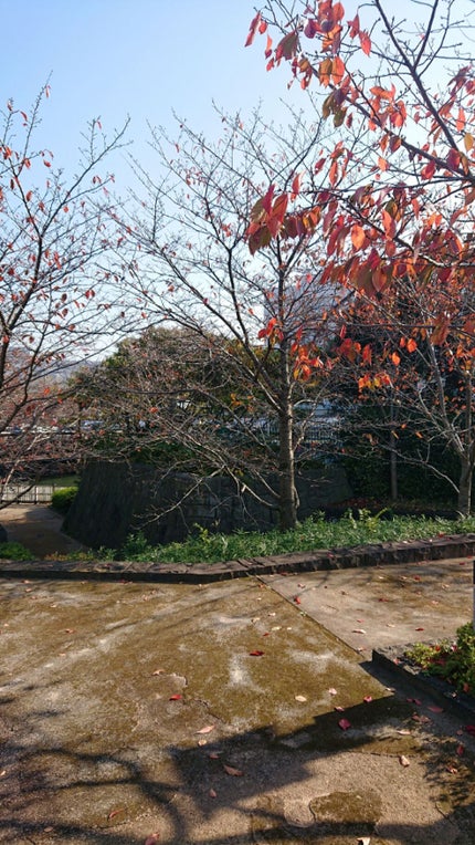 にゃーにゃ一団 on LIPS 「新川(・・;)今日も昼前すぎから親と妹といつもの散歩コースに行..」(4枚目)