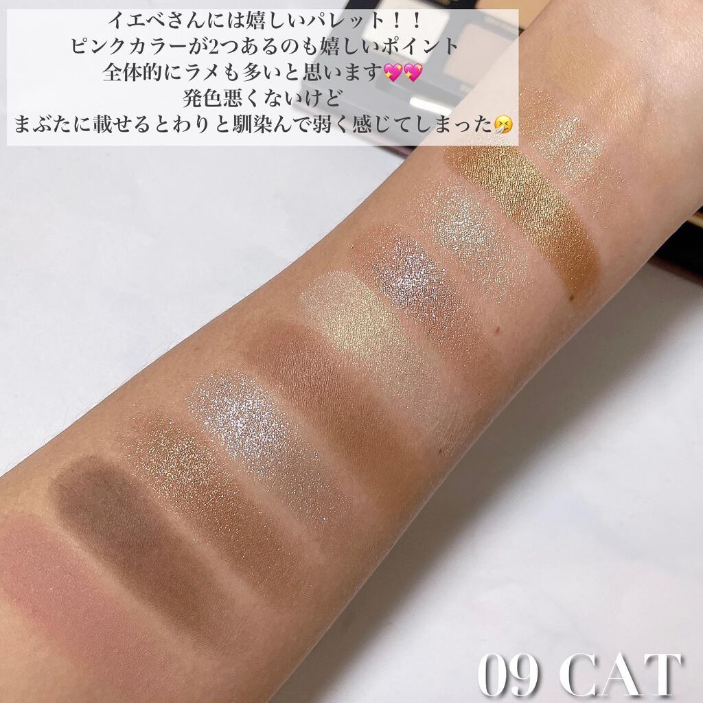 エクスプローラ12色 動物アイシャドウパレット/PERFECT DIARY/アイシャドウパレットを使ったクチコミ（3枚目）