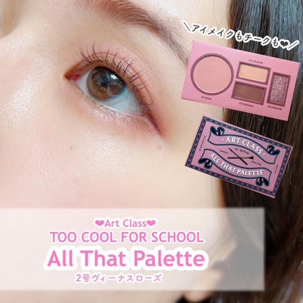 バイロダンオールザットパレット/too cool for school/アイシャドウパレットを使ったクチコミ(1枚目)