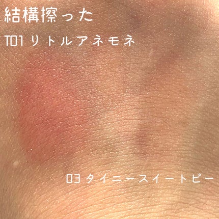 ステイオンバームルージュ/キャンメイク/口紅を使ったクチコミ(5枚目)