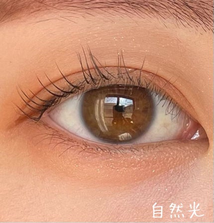 シグニチャー カラー アイズ/SUQQU/アイシャドウパレットを使ったクチコミ(5枚目)