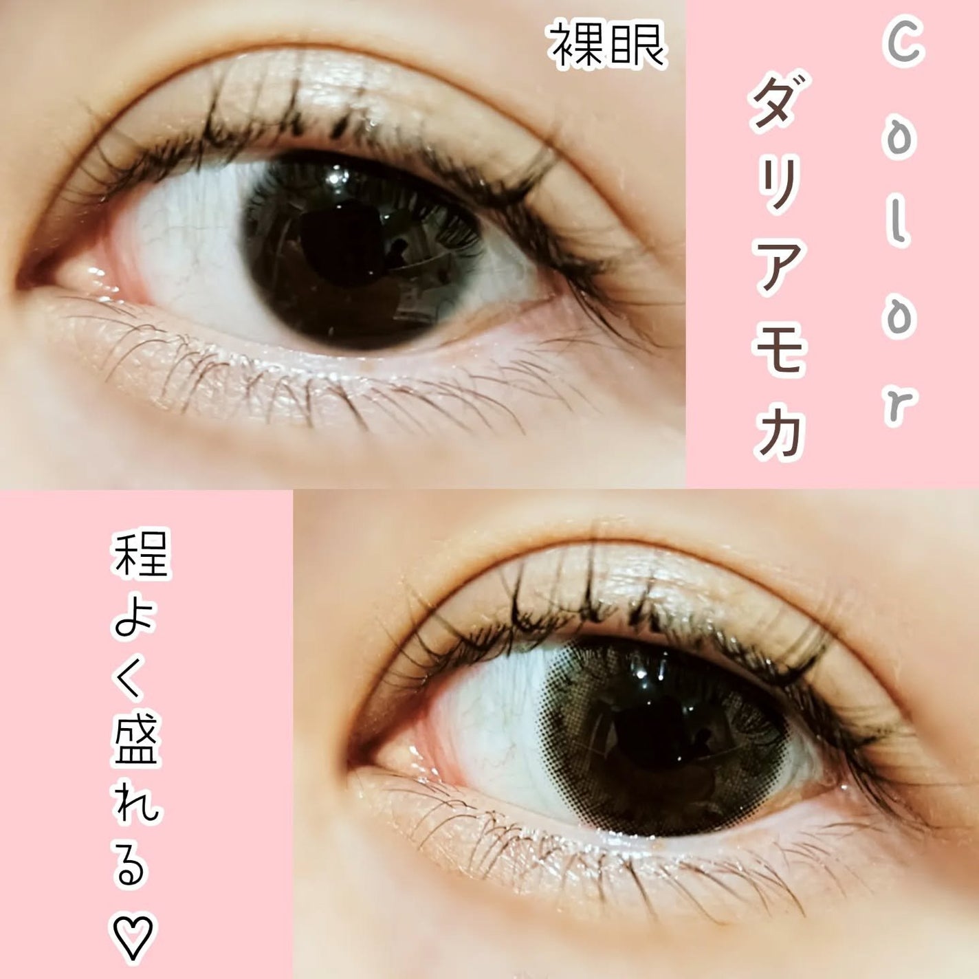 1month Color Contact Lens/ADDME/1ヶ月(1MONTH)カラコンを使ったクチコミ(2枚目)