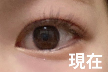 エグータム/アルマダスタイル/まつげ美容液を使ったクチコミ(4枚目)