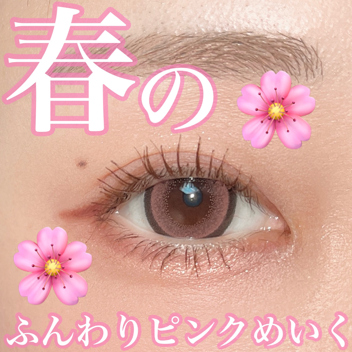 プロ アイ パレット エアー 02 ローズコネクト(ROSE CONNECT)/CLIO/アイシャドウパレットを使ったクチコミ（1枚目）