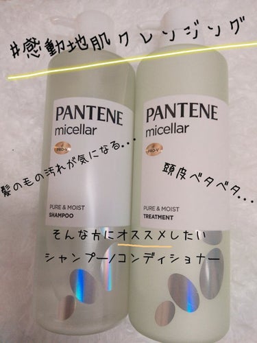 ＼髪だけじゃなく、頭皮をスカッとするシャンプー/トリートメントを見つけてしまった👀／

皆さん、こんにちは、こんばんは、そして、おはようございます！
魚子🐟️です

今回は、LIPSさんを通して、パンテ