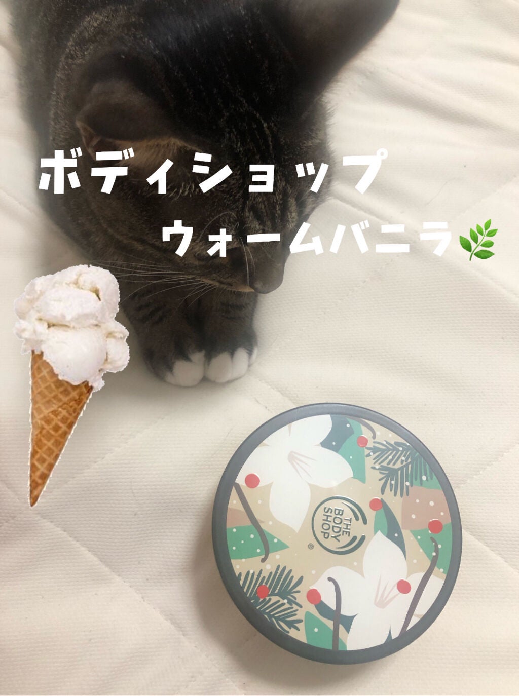 ボディバター ウォームバニラ/THE BODY SHOP/ボディクリームを使ったクチコミ(1枚目)