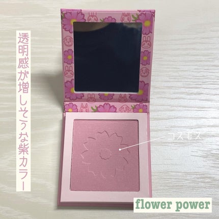 フラワーパワー/ColourPop/パウダーチークを使ったクチコミ(2枚目)