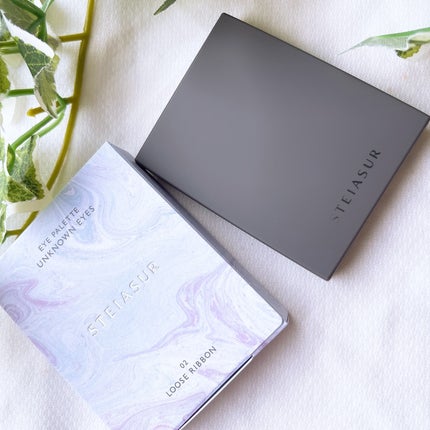 アンノウンアイズ/STEIASUR(ステイアシュール)/アイシャドウパレットを使ったクチコミ(5枚目)