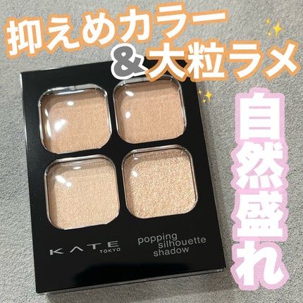 ケイト ポッピングシルエットシャドウ/KATE/アイシャドウパレットを使ったクチコミ(1枚目)