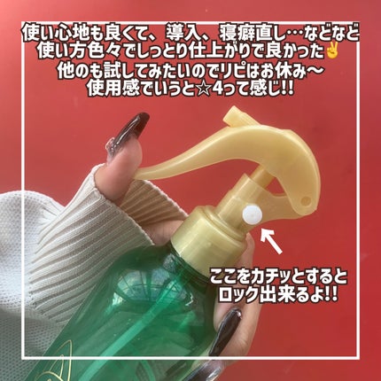 モイスチャーライジング&リペアブースター 導入液ヘアミスト/エイトザタラソ/ヘアミストを使ったクチコミ(3枚目)