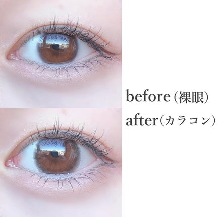 ラッシュジェリードロップ EX/MAJOLICA MAJORCA/まつげ美容液を使ったクチコミ(3枚目)