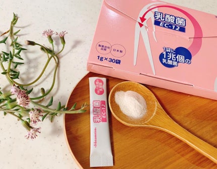 乳酸菌(EC-12)顆粒/乳酸菌(EC-12)/健康サプリメントを使ったクチコミ(1枚目)