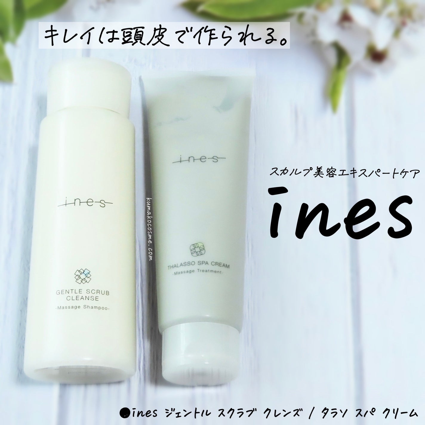 タラソ スパ クリーム/ines/洗い流すヘアトリートメントを使ったクチコミ(4枚目)