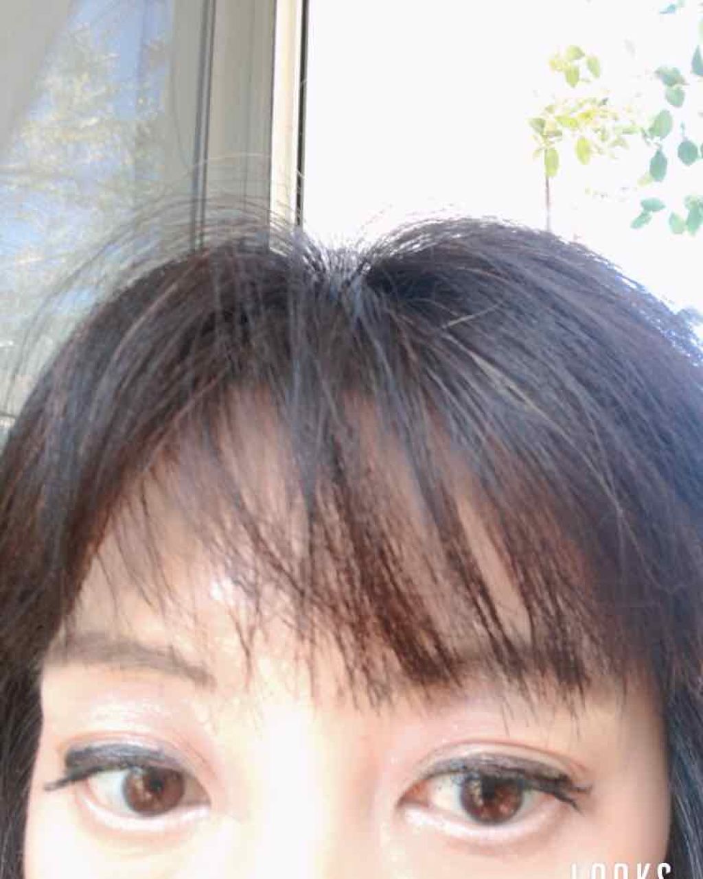 モダンアイシャドウ イタルプリズム/MISSHA/単色アイシャドウを使ったクチコミ(1枚目)