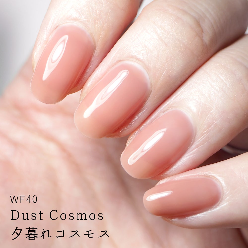 HOMEI ウィークリージェル WF40 ダストコスモス(Dust Cosmos)