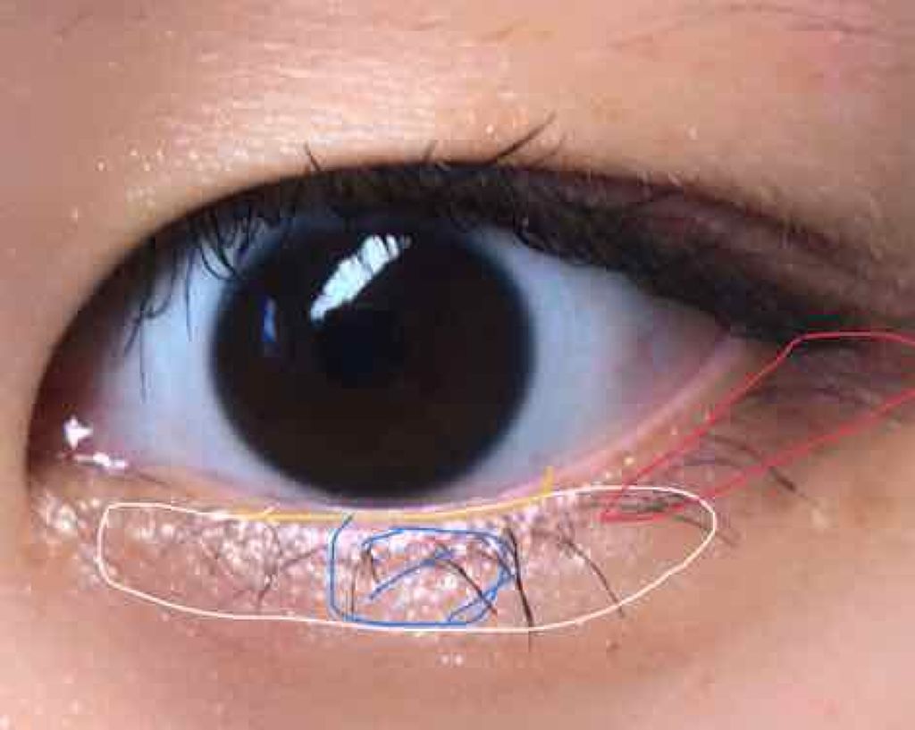 【旧品】パーフェクトスタイリストアイズ/キャンメイク/アイシャドウパレットを使ったクチコミ(3枚目)