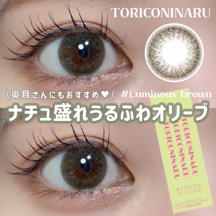 トリコニナル ワンデー/トリコニナル/ワンデー(1DAY)カラコンを使ったクチコミ(1枚目)