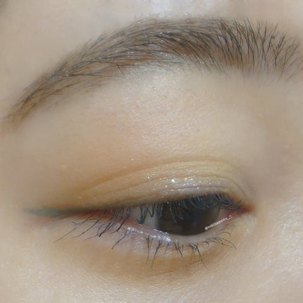 サラダdeフルーツカラーリキッドアイライナーWP/FLORTTE/リキッドアイライナーを使ったクチコミ(2枚目)