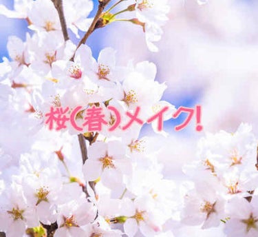 紗羅です！

今回は春だし桜咲いてるので桜（春）メイクをしていきます！


それではスタート→

アイメイク
SPINNSの3色アイシャドウピンクを使っていきます
まず真ん中のピンクをアイホール全体と涙