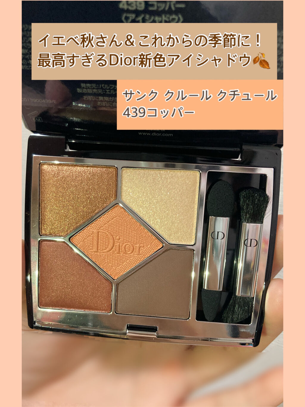 【旧】サンク クルール クチュール/Dior/アイシャドウパレットを使ったクチコミ（1枚目）