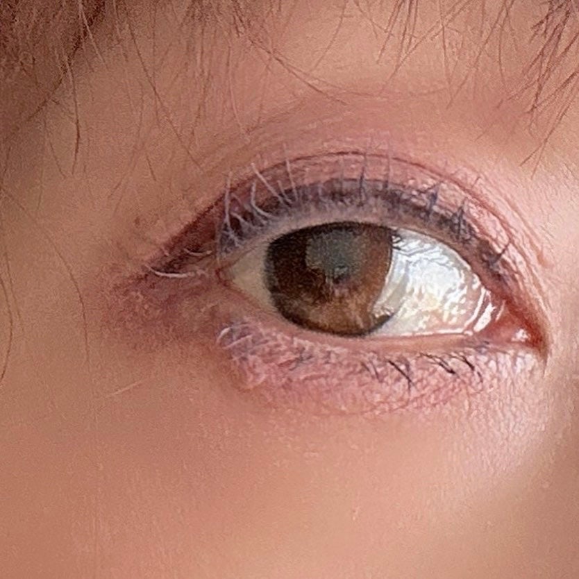 プランぷくコーデアイズ/キャンメイク/パウダーアイシャドウを使ったクチコミ(4枚目)