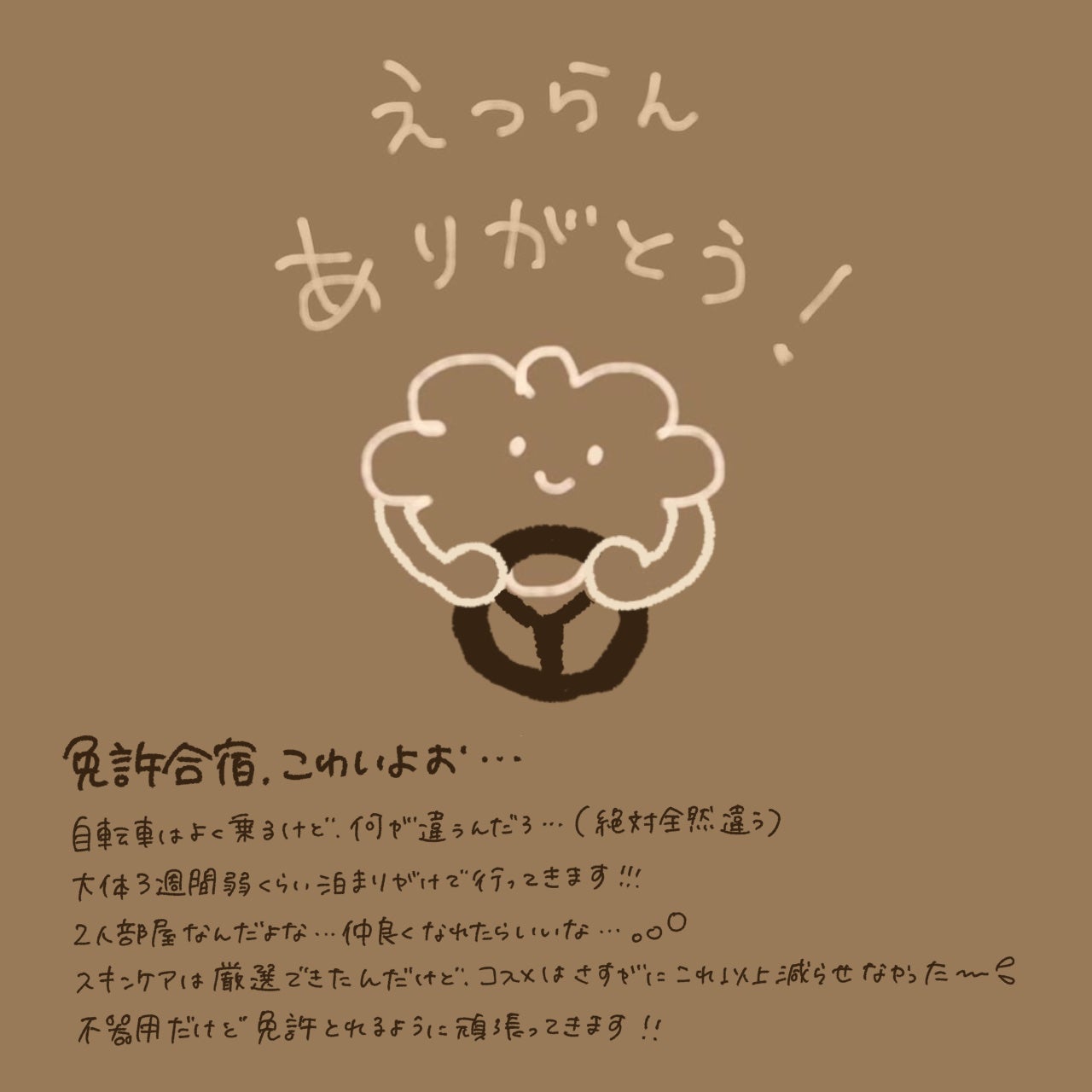 カラーミキシングコンシーラー/キャンメイク/パレットコンシーラーを使ったクチコミ(10枚目)