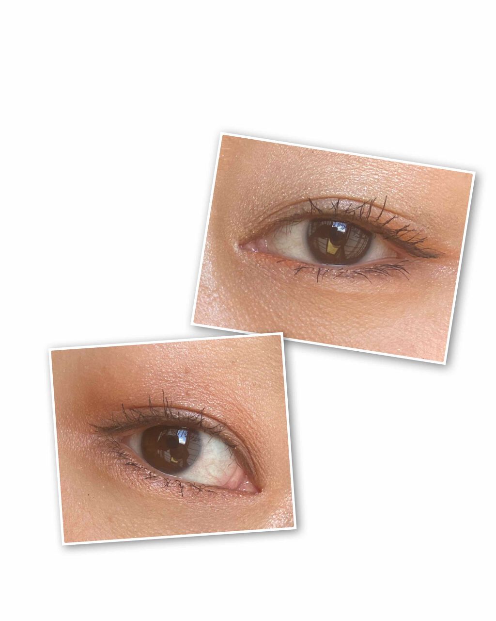 セット ザ モーション アイパレット/shu uemura/アイシャドウパレットを使ったクチコミ（2枚目）