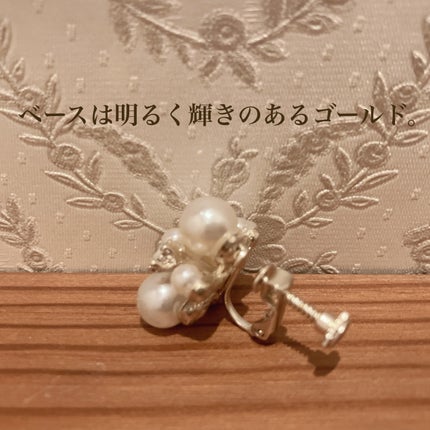 アクセサリー/3COINS/ヘアアクセサリーを使ったクチコミ(3枚目)