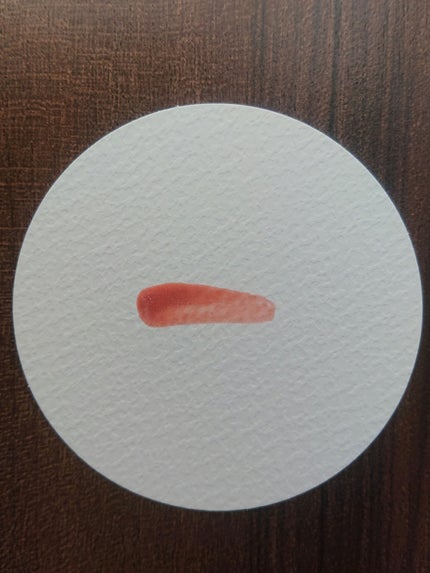 ホリデー アディクション サイレント ウィッシュⅡ /ADDICTION/メイクアップキットを使ったクチコミ(5枚目)