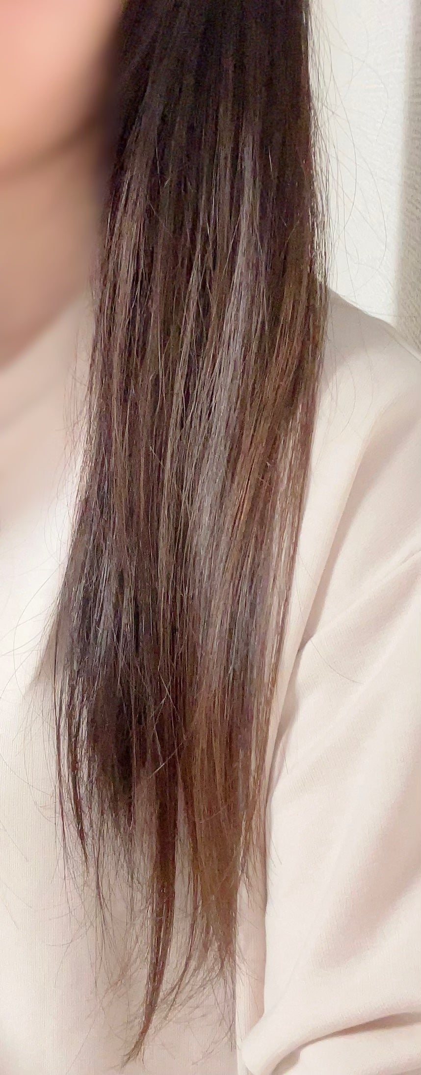 セラティス テラ プレミアム EX ナイト モイスト シャンプー/ヘアトリートメント/THERATIS/市販シャンプーを使ったクチコミ(2枚目)