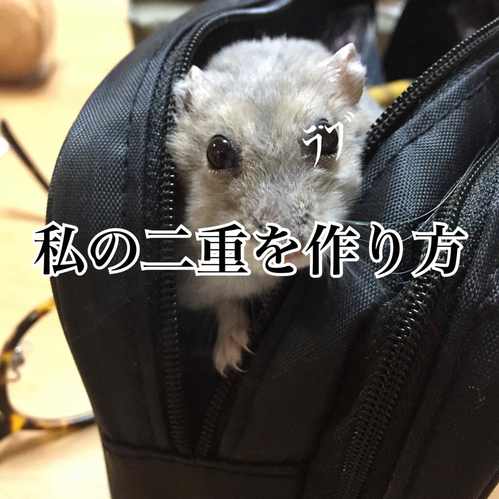 【旧品】オリシキ アイリッドスキンフィルム/D-UP/二重まぶた用アイテムを使ったクチコミ（1枚目）