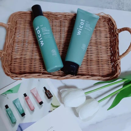 スカルプ&ヘア シャンプー/トリートメント リフレッシュ/wicot/市販シャンプーを使ったクチコミ(1枚目)