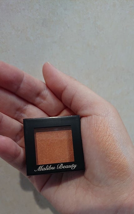 プロ シングル シャドウ/CLIO/単色アイシャドウを使ったクチコミ(1枚目)