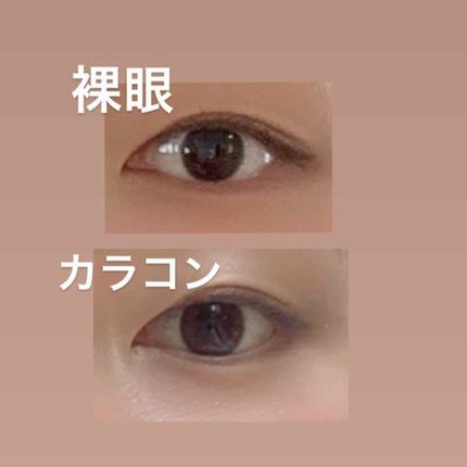 eye closet 1DAY/EYE CLOSET/ワンデー(1DAY)カラコンを使ったクチコミ(1枚目)