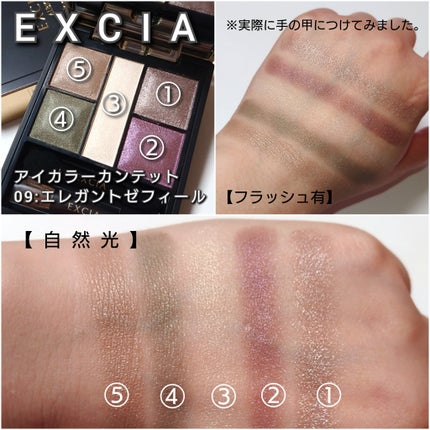 エクシア アイカラー カンテット 10 アリューリングハーモニー /ALBION/アイシャドウパレットの画像