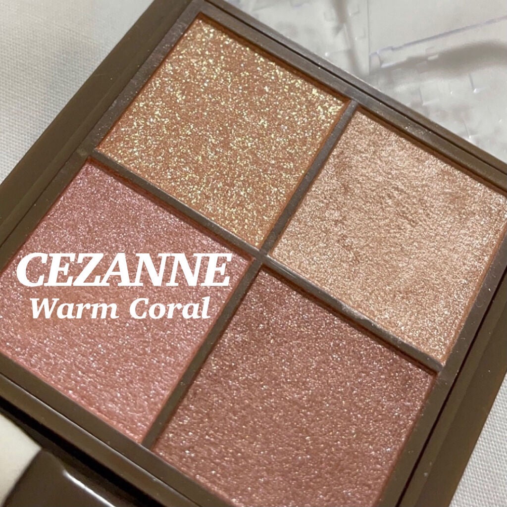 ニュアンスオンアイシャドウ/CEZANNE/アイシャドウパレットを使ったクチコミ(1枚目)
