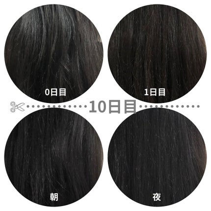 MASUGU シャンプー/トリートメント/STYLEE/市販シャンプーを使ったクチコミ(4枚目)