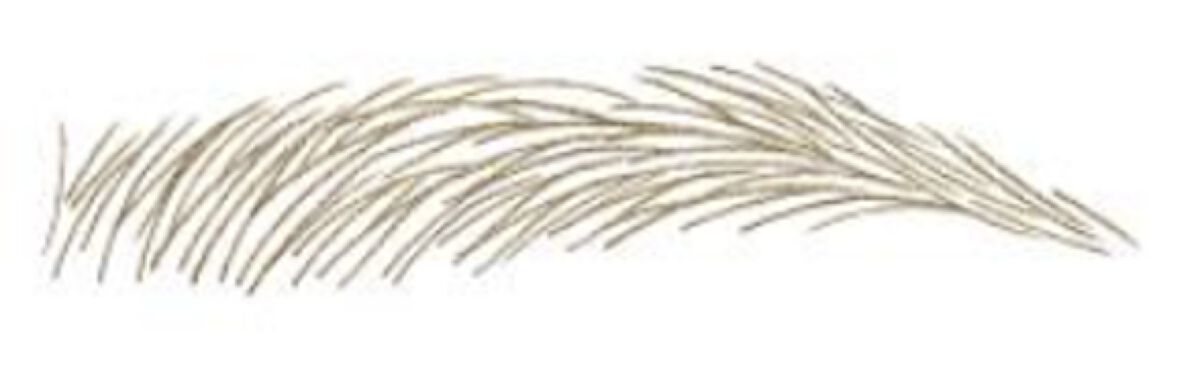 スリムエキスパートＲ 01 ライトブラウン