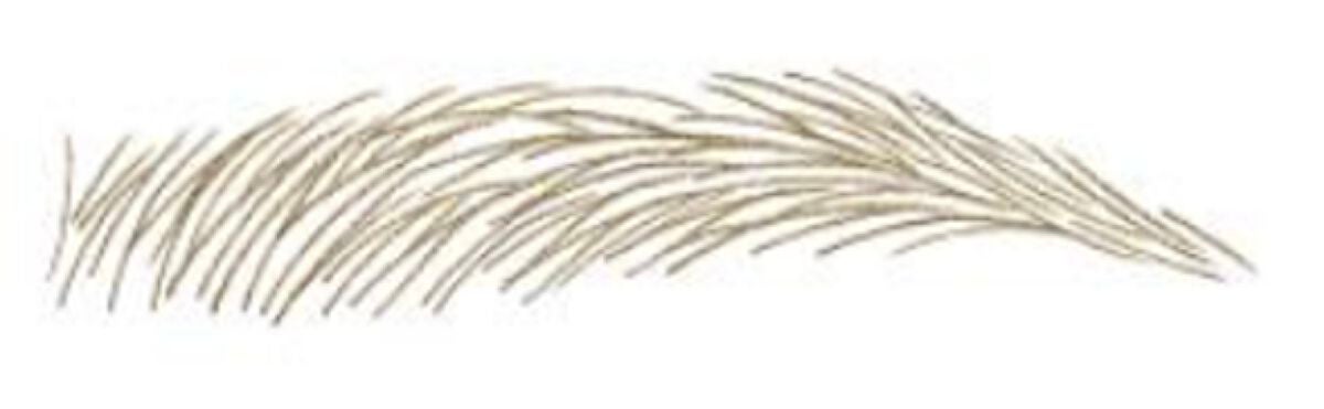 スリムエキスパートR 01 ライトブラウン