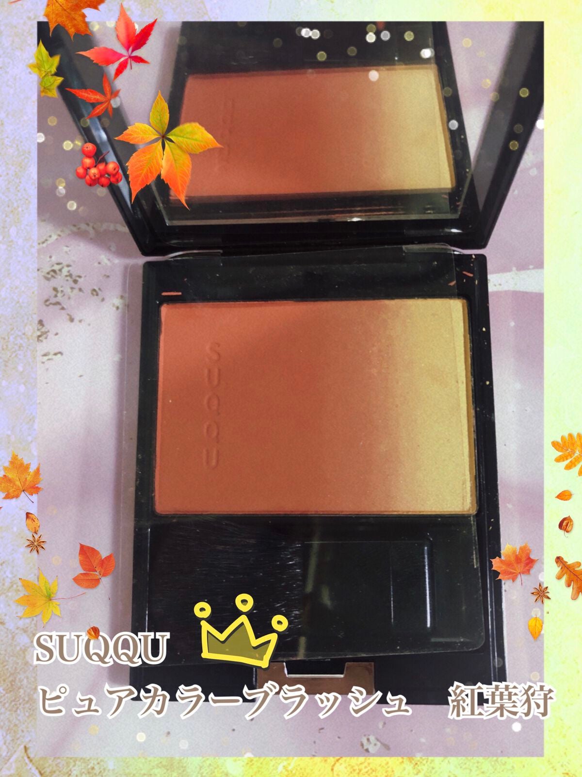 ピュア カラー ブラッシュ/SUQQU/パウダーチークを使ったクチコミ(1枚目)