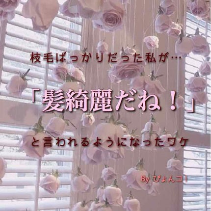 ヘアーオイル【トリートメント】/ellips/ヘアオイルを使ったクチコミ(1枚目)