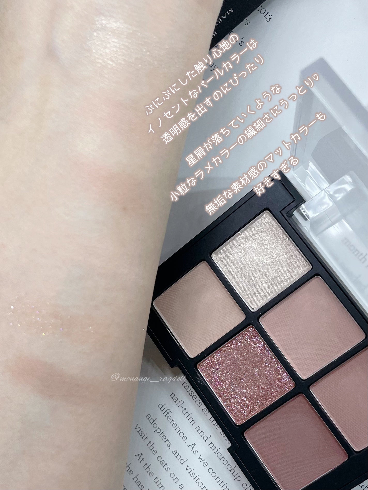 ブラーフィニシュシャドウパレット/Dinto/アイシャドウパレットを使ったクチコミ(3枚目)