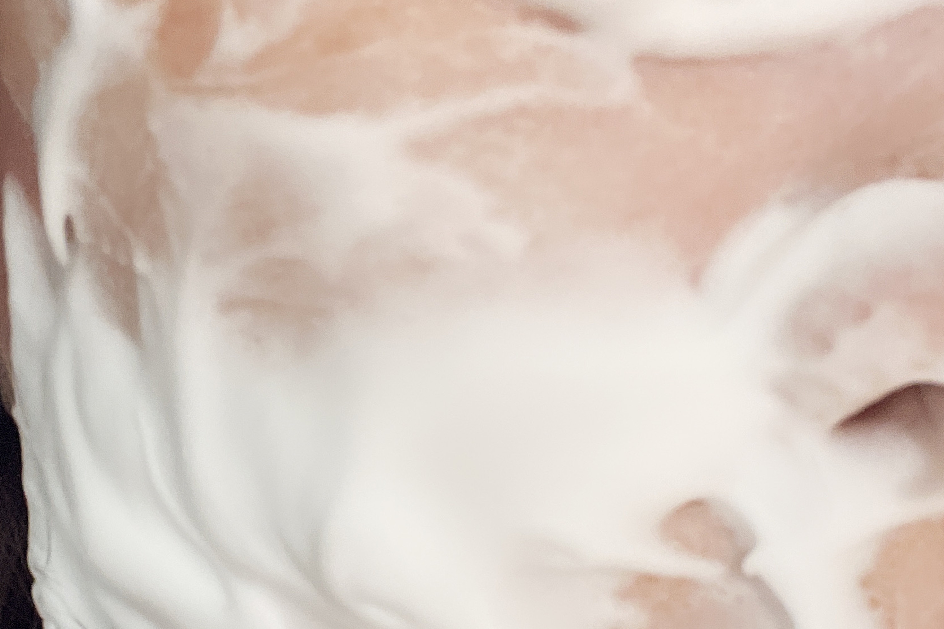 クリスタルホイップ/SHIRORU/泡洗顔を使ったクチコミ（3枚目）